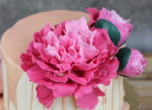 Jagodowy tort urodzinowy z piwonią i różą Piwonia z lukru na tort urodzinowy, orchideli - różowa piwonia z lukru