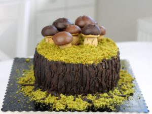 orchideli tort dla prawdziwego mężczyzny tort pieniek z grzybkami i mechem, tort z borowikami dla grzybiarza, grzybobranie