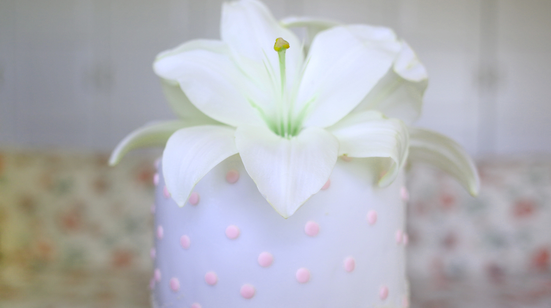 orchideli, tort chrzcinowy z liliami, przepis na tort czekoladowo-truskawkowy