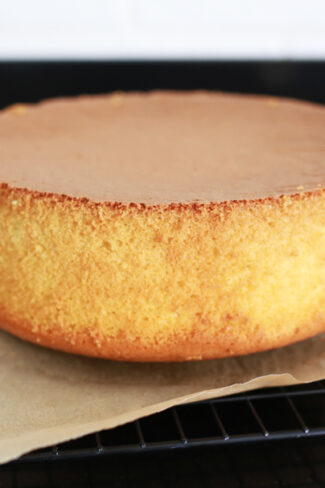 orchideli, przepis na biszkopt z 3 jajek, ciasto na sodzie, biszkopt na sodzie, tort urodzinowy dla dziecka, przepis na ciasto z owocami