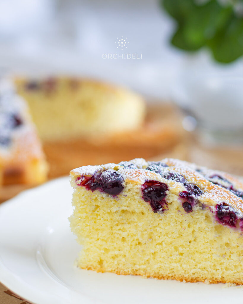 ciasto z borówkami przepis orchideli