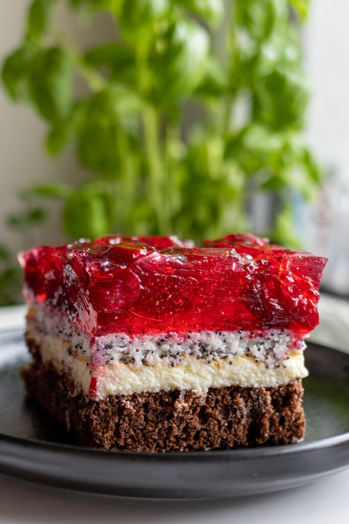 ciasto cherry, ciasto z wiśniami, biszkopt z kremem i galaretką, przepis na ciasto Orchideli